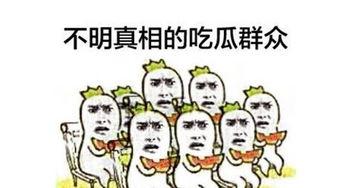 吃瓜群众等结果,揭秘娱乐圈背后的真相