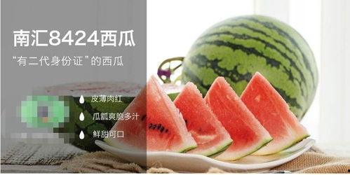 吃瓜群众和海底捞的区别,一窥大众文化与高端餐饮的鲜明对比