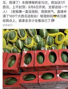 吃瓜群众中奖,揭秘中奖背后的故事