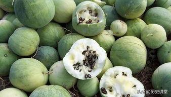 绿瓜红肚肠群众吃瓜子,揭秘群众吃瓜子的独特文化现象