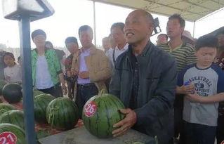 新华区吃瓜群众事件真相,真相与反思