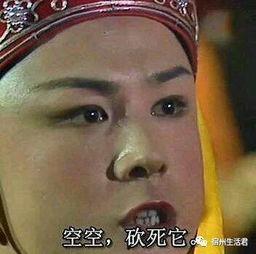 吃瓜群众的企业家是谁,他如何引领行业潮流