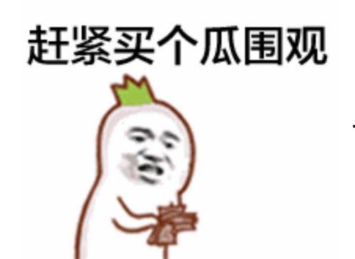 张老板吃瓜群众是谁