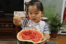 好的吃瓜群众文章